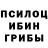 Псилоцибиновые грибы Magic Shrooms Vladislav Lozhkin