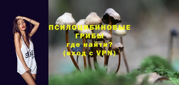 бошки Алзамай
