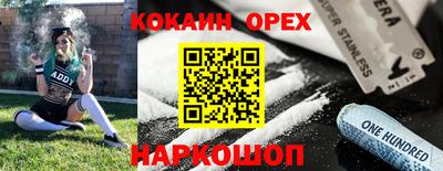 индика Аргун