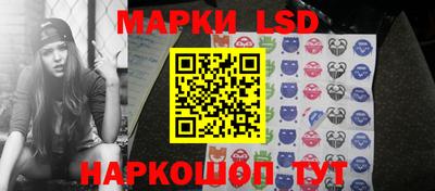 индика Аргун
