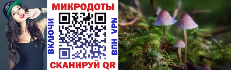хочу   Белгород  Галлюциногенные грибы Psilocybe 