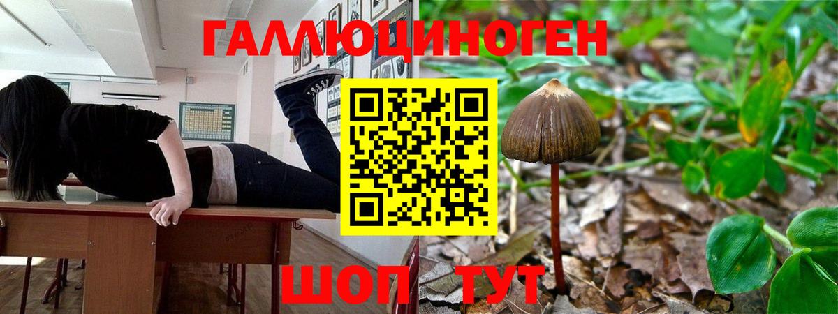 Белгород  Псилоцибиновые грибы Psilocybine cubensis  Вход с VPN 